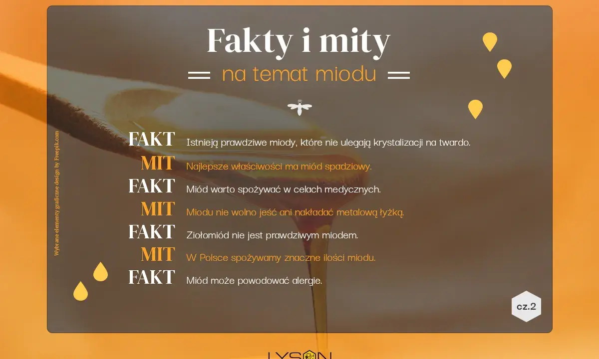 Mity i fakty o miodzie. Najlepsze właściwości ma miód spadziowy, warto go spożywać w celach medycznych. Miód może powodować alergie.