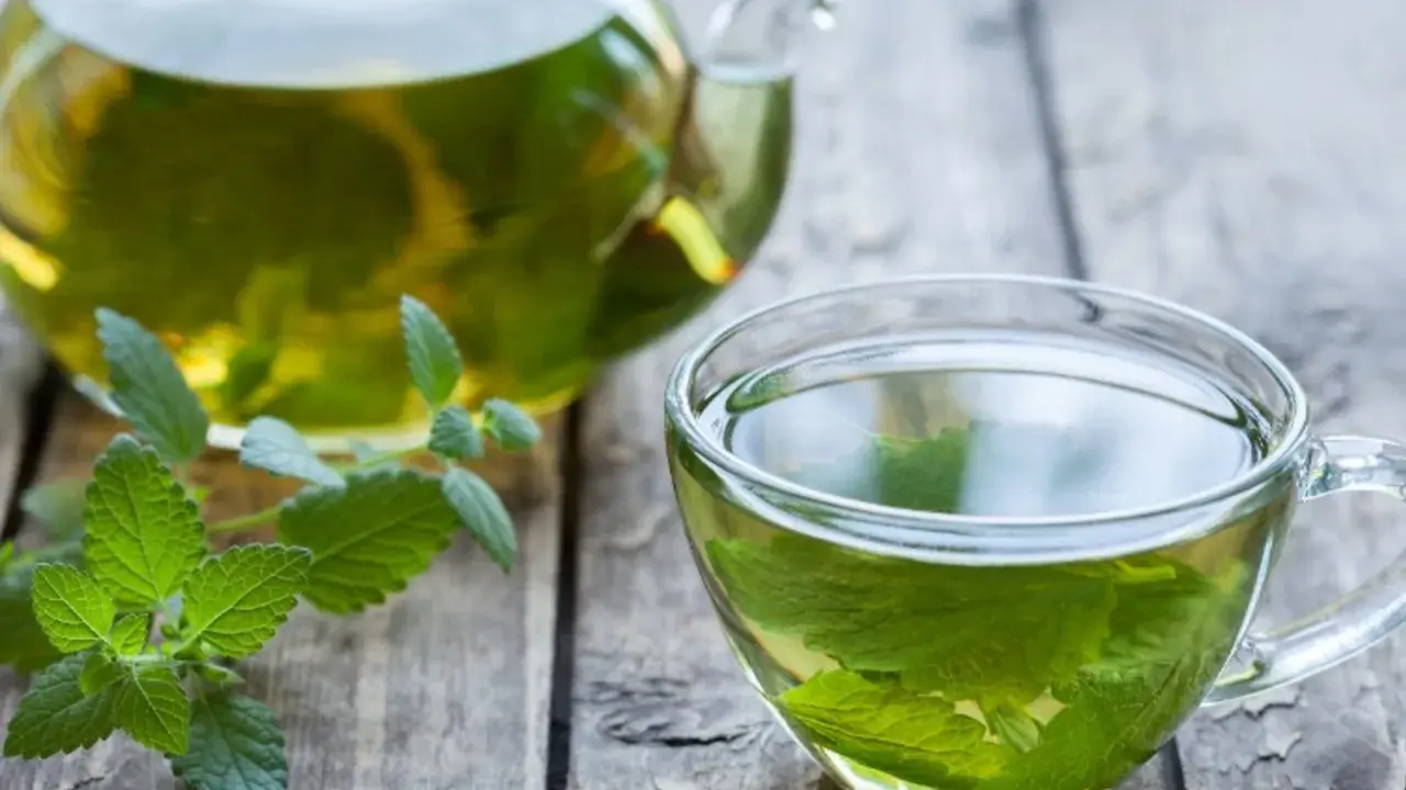 Aromatic melisa w szklanej filiżance i dzbanku, z gałązką świeżej melisy. Czy melisa obniża ciśnienie? Warto spróbować.