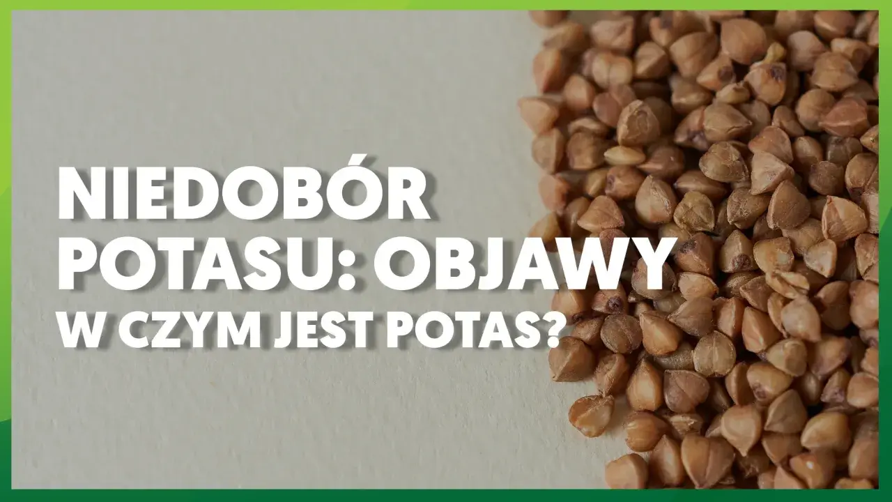 Niedobór potasu: objawy i w czym jest potas? Zdjęcie przedstawia kaszę gryczaną, która jest dobrym źródłem potasu.
