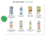 Różne napoje roślinne, które mogą być odpowiedzią na pytanie, jakie mleko jest najzdrowsze. Wybierz swój ulubiony!