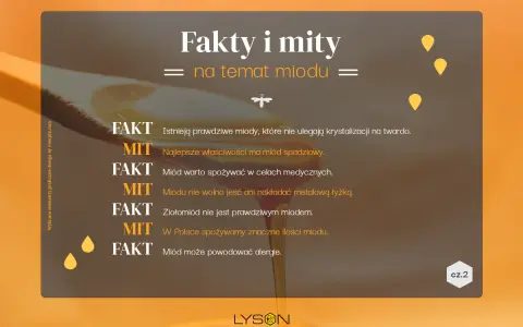 Mity i fakty o miodzie. Najlepsze właściwości ma miód spadziowy, warto go spożywać w celach medycznych. Miód może powodować alergie.