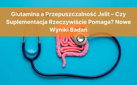 Model jelit i stetoskop. Czy glutamina co to i suplementacja pomagają na przepuszczalność jelit? Wyniki badań.