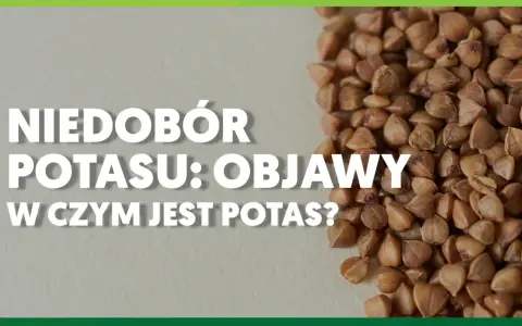 Niedobór potasu: objawy i w czym jest potas? Zdjęcie przedstawia kaszę gryczaną, która jest dobrym źródłem potasu.