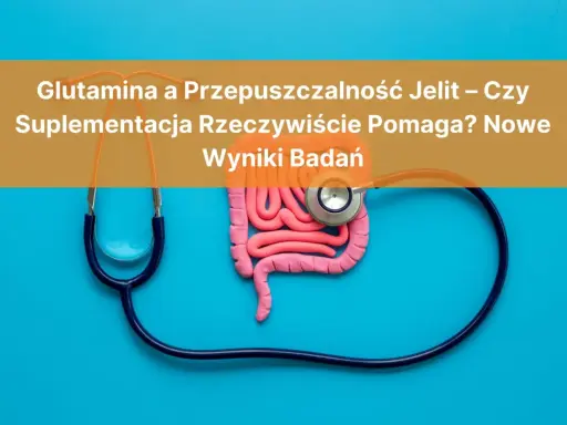 Model jelit i stetoskop. Czy glutamina co to i suplementacja pomagają na przepuszczalność jelit? Wyniki badań.