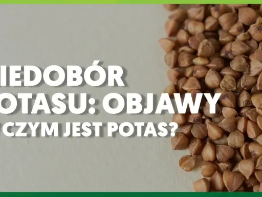 Niedobór potasu: objawy i w czym jest potas? Zdjęcie przedstawia kaszę gryczaną, która jest dobrym źródłem potasu.