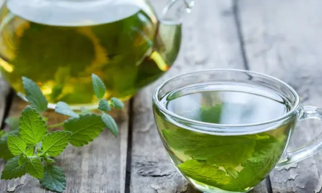 Aromatic melisa w szklanej filiżance i dzbanku, z gałązką świeżej melisy. Czy melisa obniża ciśnienie? Warto spróbować.