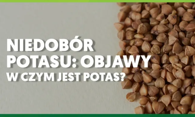 Niedobór potasu: objawy i w czym jest potas? Zdjęcie przedstawia kaszę gryczaną, która jest dobrym źródłem potasu.