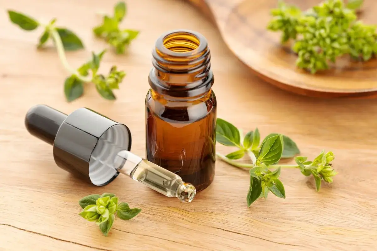 Olejek z oregano na co? W buteleczce i pipetce, otoczony świeżymi gałązkami, gotowy do użycia.