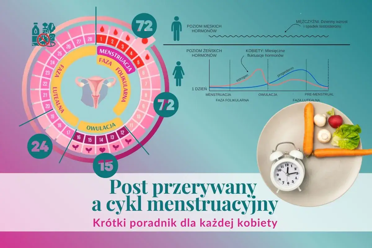 Grafika wyjaśnia związek między postem przerywanym a cyklem menstruacyjnym, pokazując fazy cyklu i poziomy hormonów.